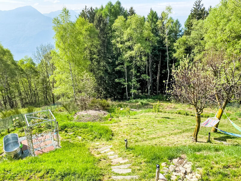 Baita Betulla Bianca