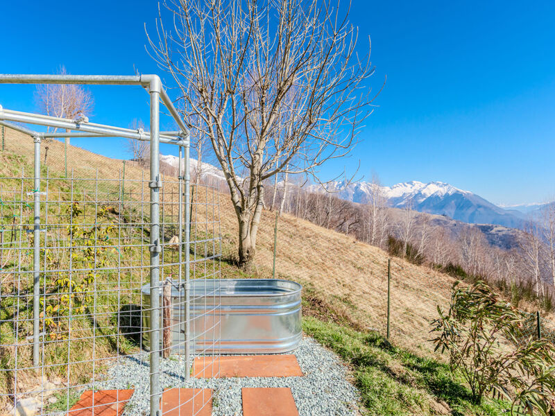 Baita Betulla Bianca