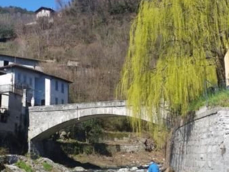 Domaso Surfview - schönes Ferienhaus