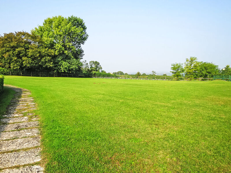 Il Portale Di Arturo