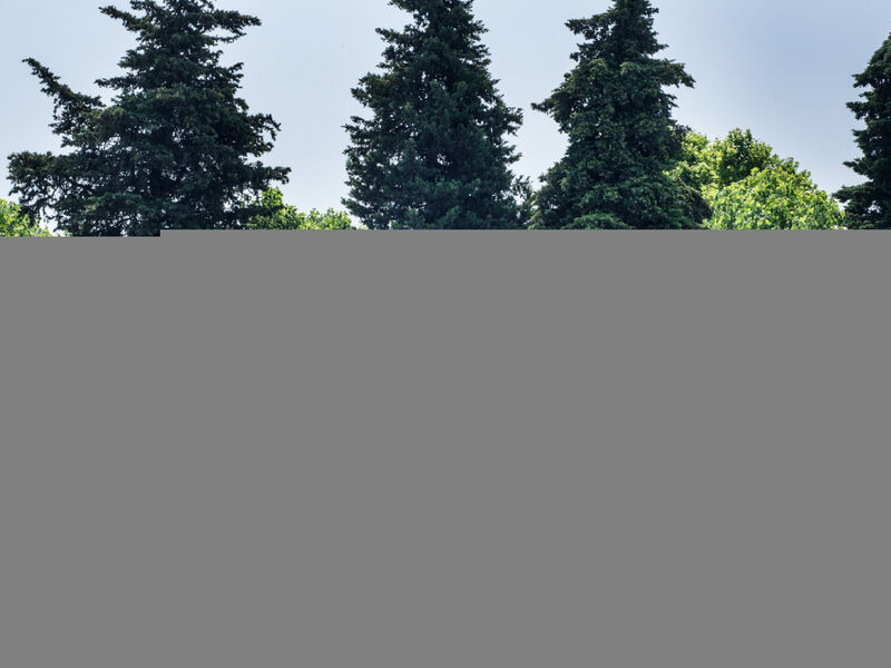 Baia Holiday Gasparina 3*