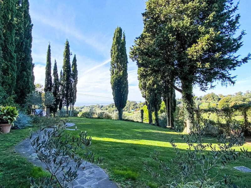 Il sogno del pittore