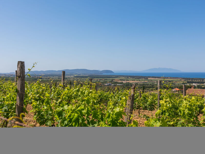 Agriturismo Il Corbezzolo