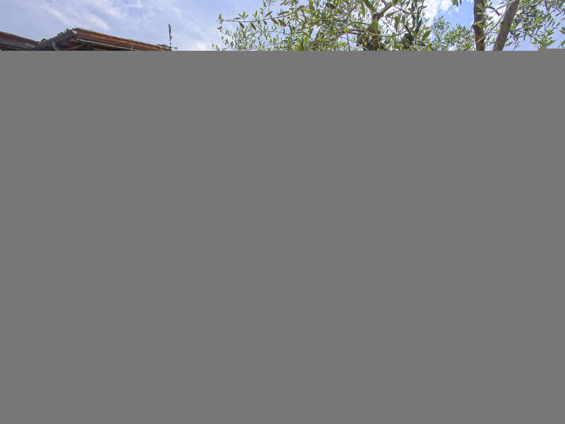 Agriturismo Borgo Della Limonaia