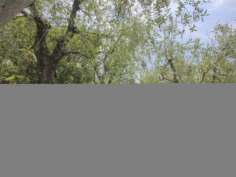 Agriturismo Borgo Della Limonaia