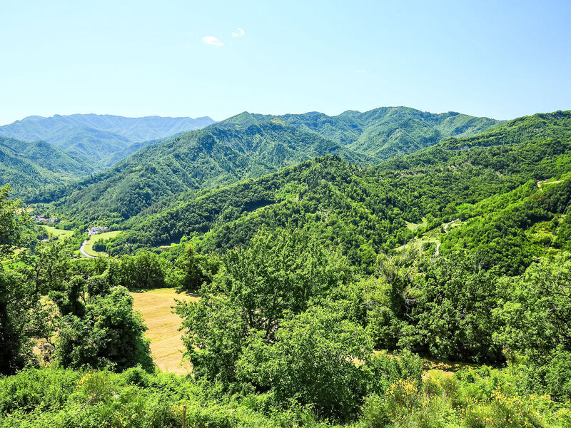 Azienda Agricola Piano Rosso