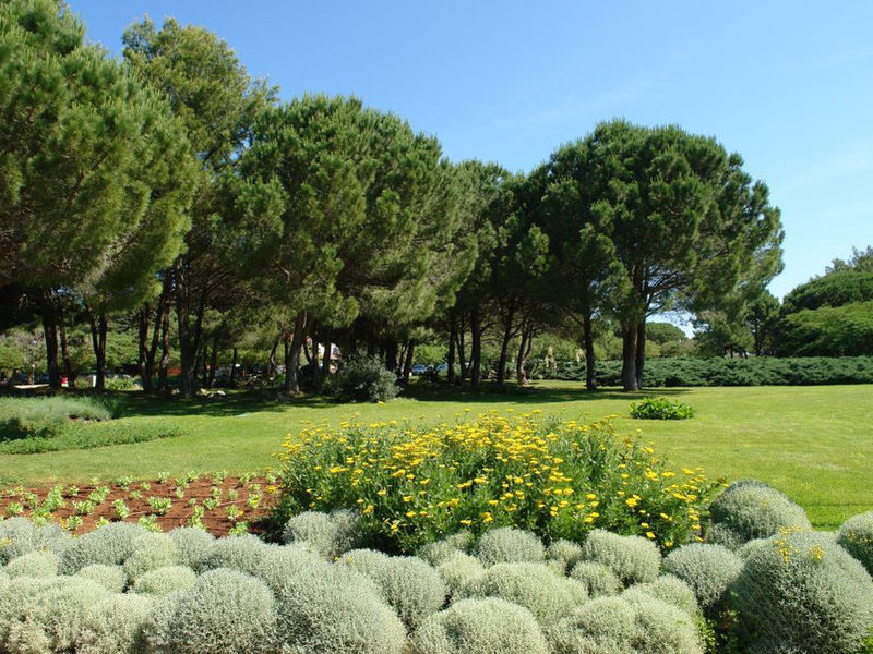 Zaton Holiday Resort - mobilní domky