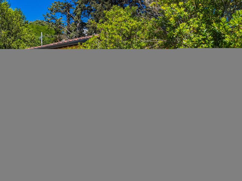 Azienda Agricola Cameli