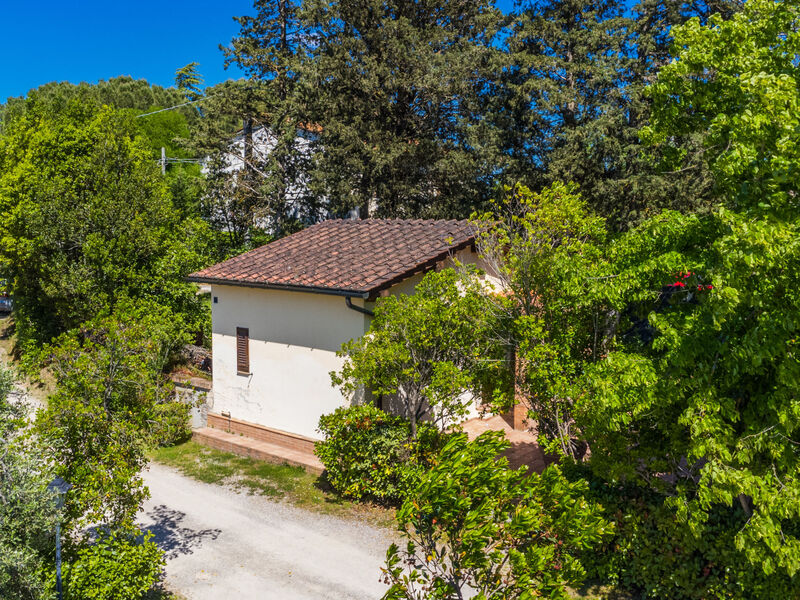 Azienda Agricola Cameli