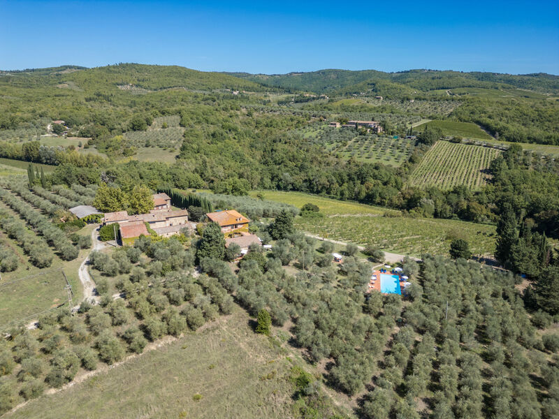 La Foresta