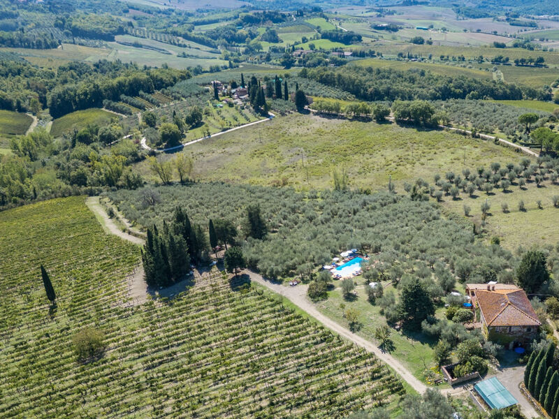 La Foresta