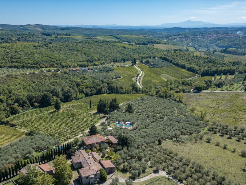 La Foresta