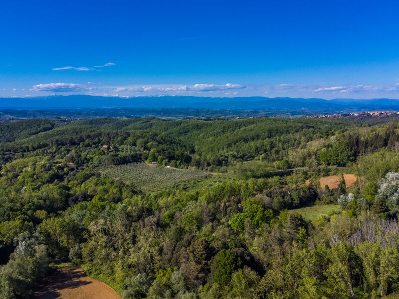 Appartamenti San Vivaldo