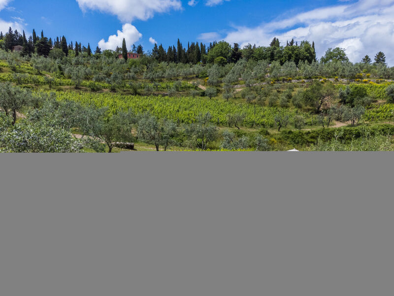 Agriturismo San Rocco