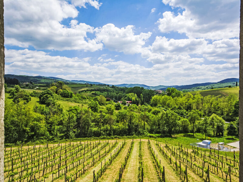 Locazione Turistica Selvapiana
