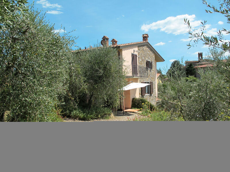 Azienda Montechioccioli