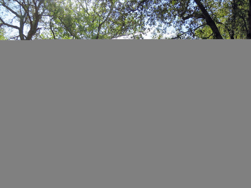 Agriturismo Arnaione