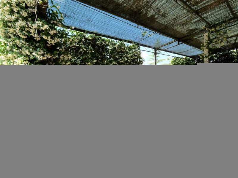 Agriturismo Arnaione