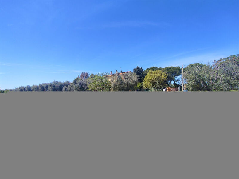 Agriturismo Podere Noé