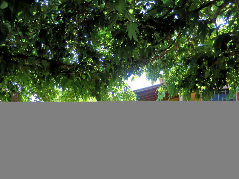 Agriturismo Podere Noé