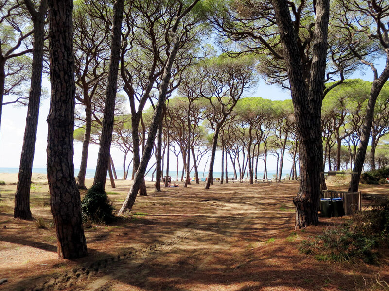 Camping Village Il Fontino