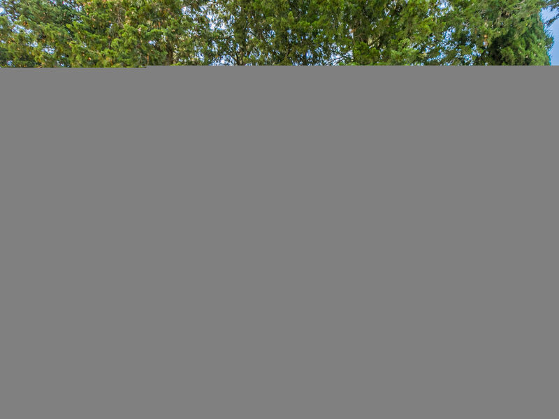 Podere Campo Fiorito