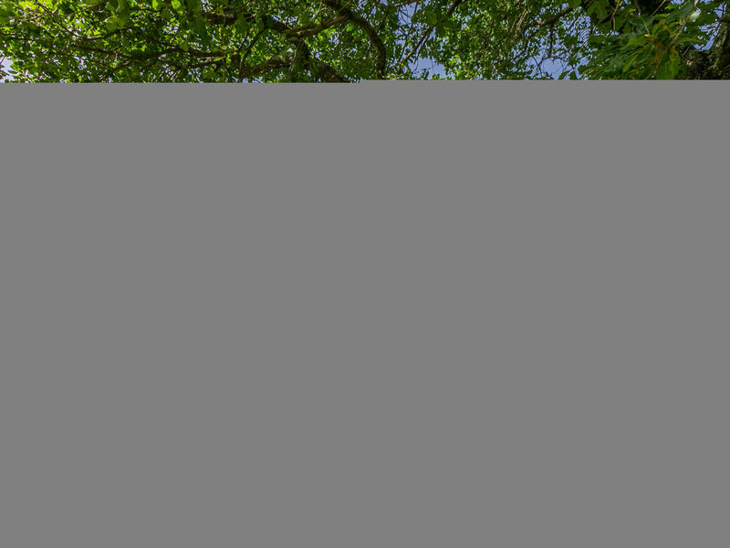 Antico Casale Il Piccione