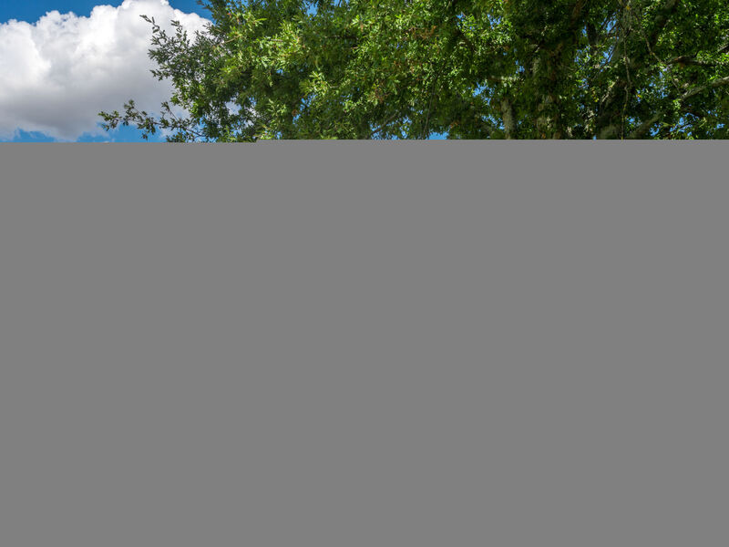 Casale Poggio Lupinaio