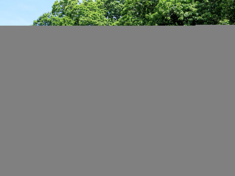 Agriturismo Belvedere