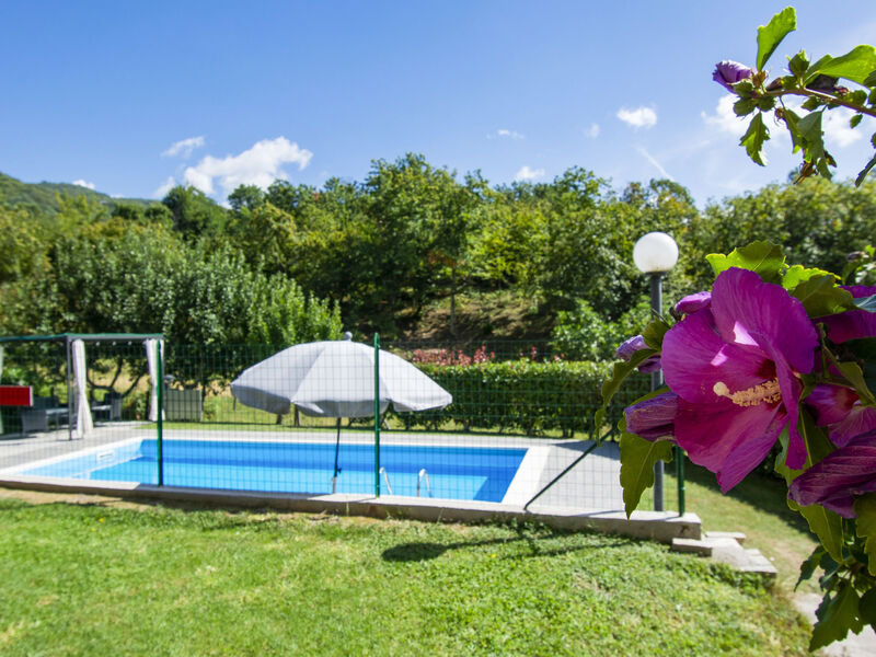 Rustico Michael E Patrick