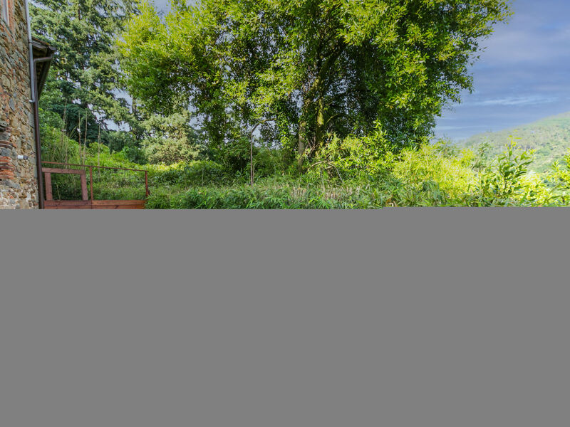 Fattoria Di Pietrabuona