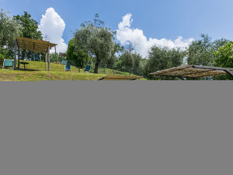 Fattoria Di Pietrabuona