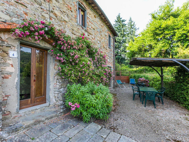 Fattoria Di Pietrabuona