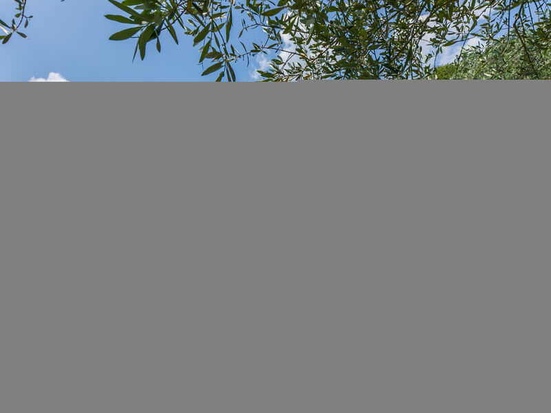 Fattoria Di Pietrabuona