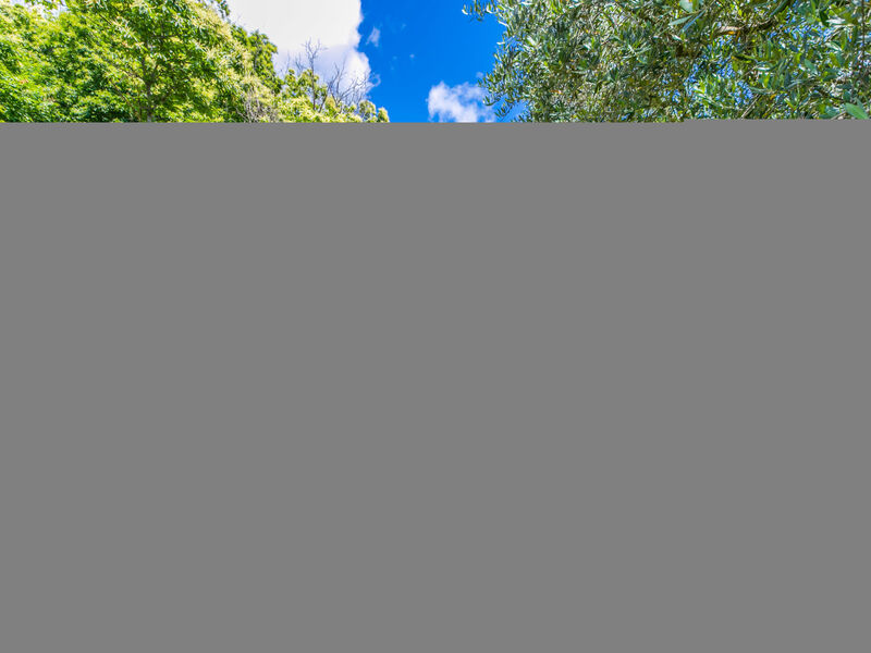 Agriturismo La Cupola