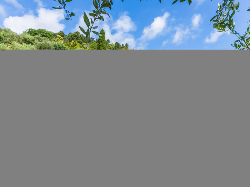 Agriturismo La Cupola