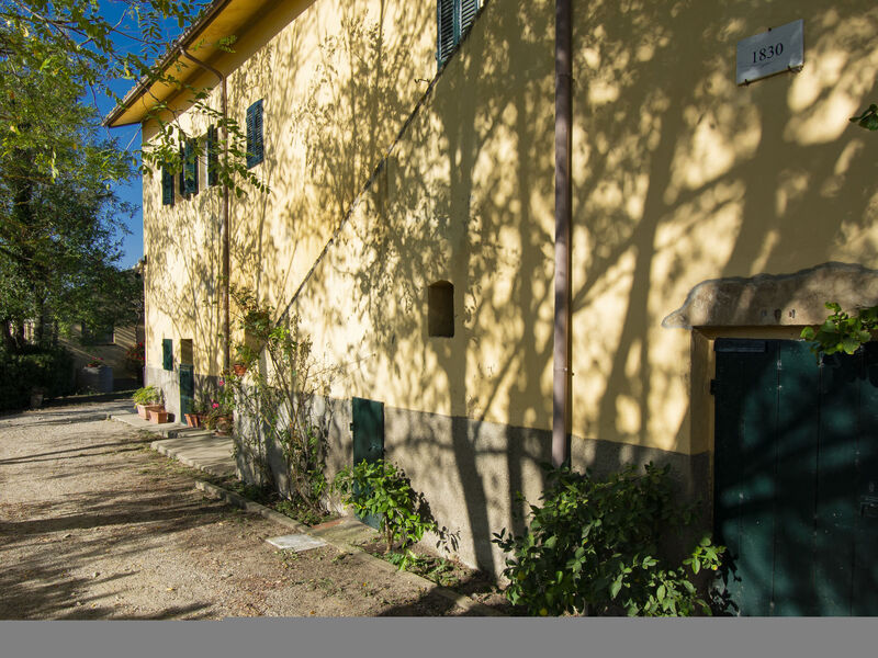 Merlot presso Podere il Pino