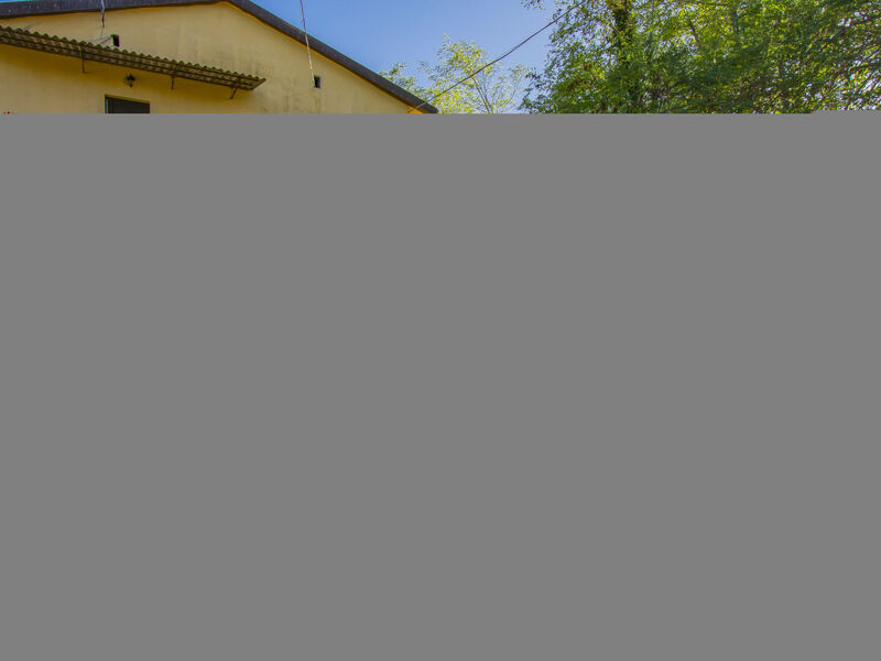 Merlot presso Podere il Pino