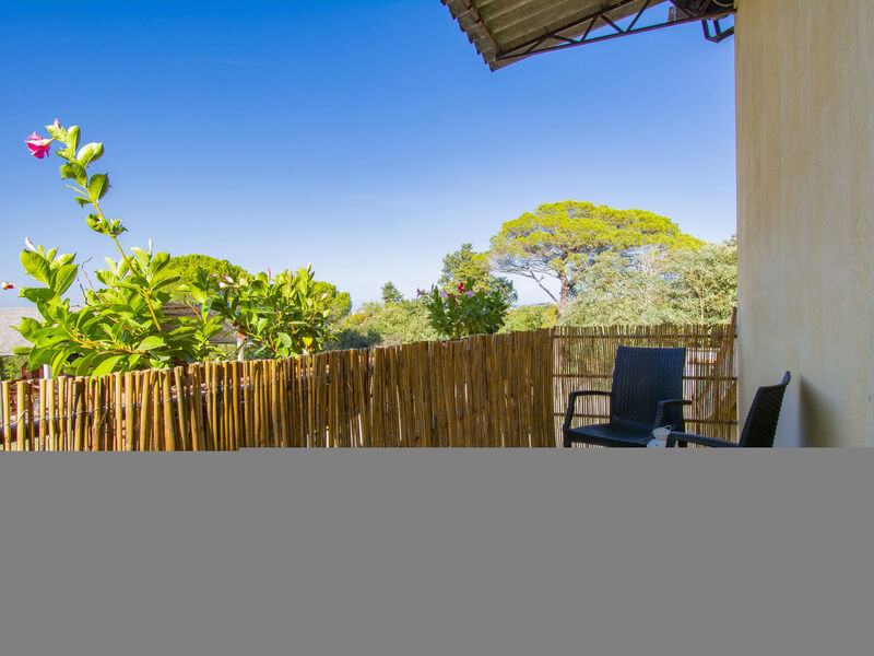 Merlot presso Podere il Pino