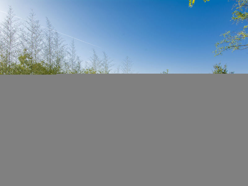 Merlot presso Podere il Pino