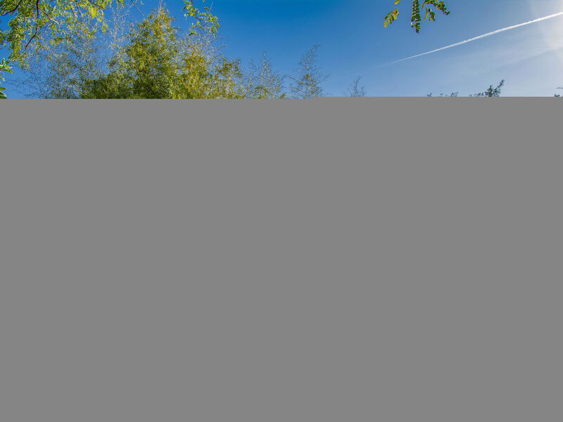 Merlot presso Podere il Pino