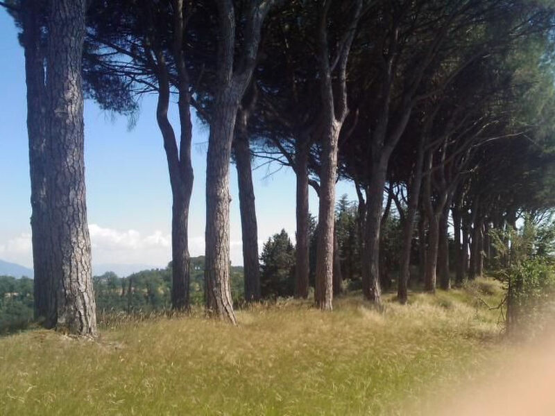 Ferienapartment Baita