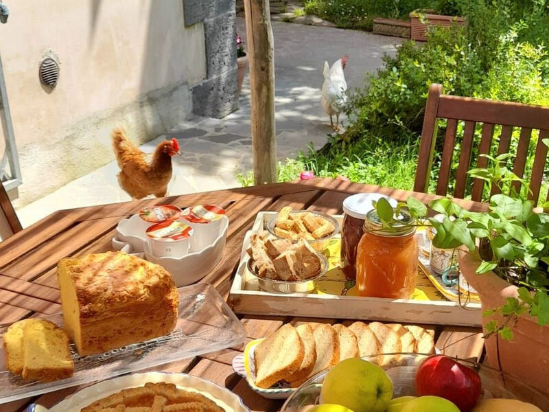 'Merula Antica Dimora'