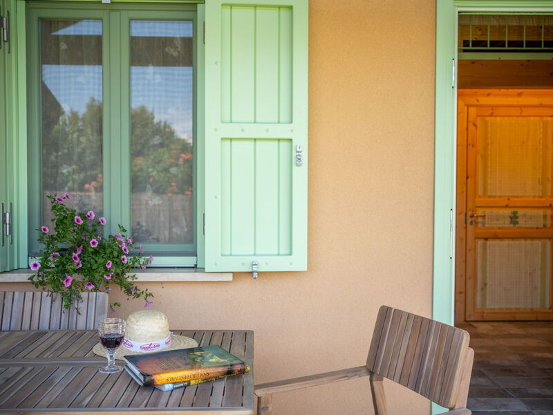 'Ver Satio la verde'