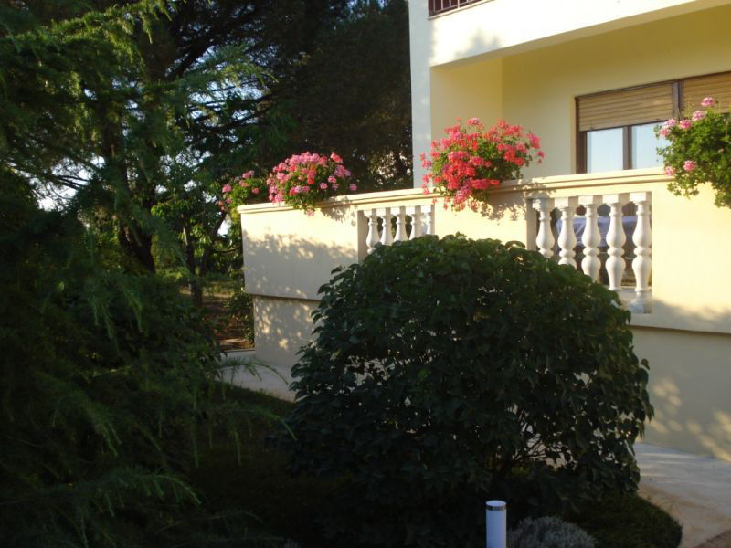 Apartmány Ibis