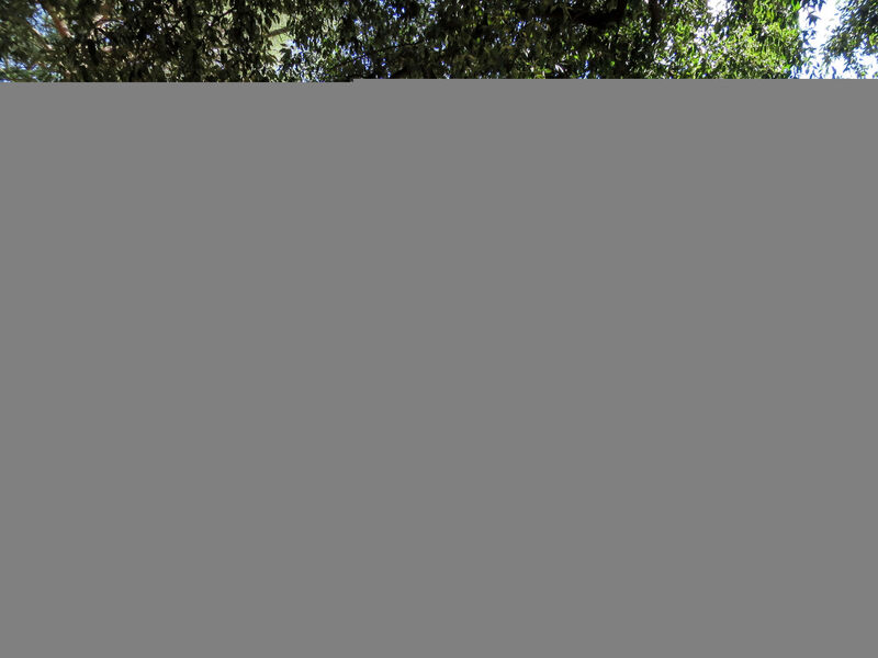 Podere Sant' Antonio