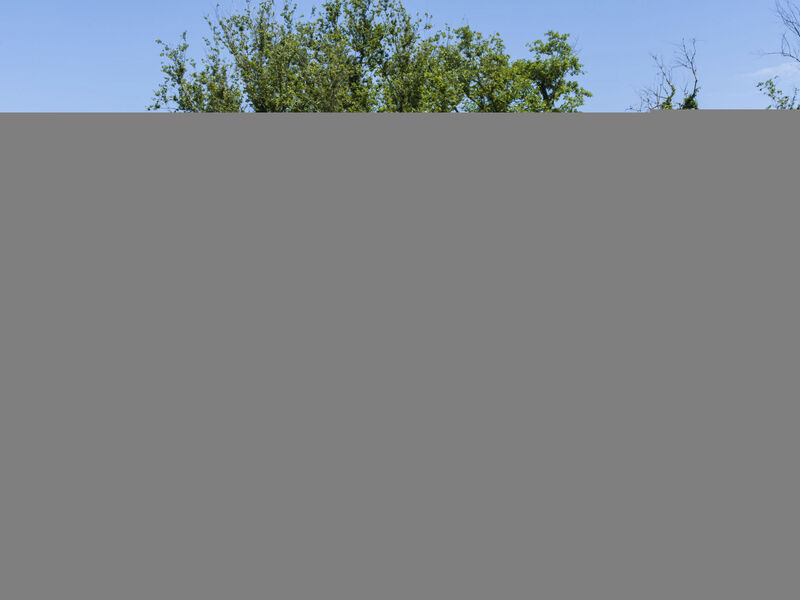 Agriturismo La Capraccia