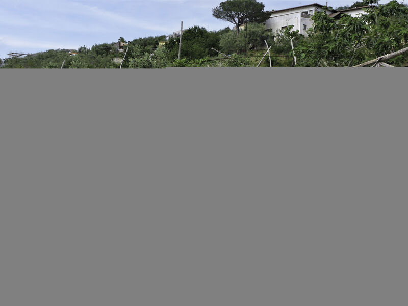 Nataly Country House