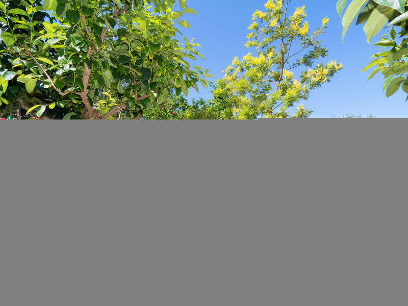 Nataly Country House