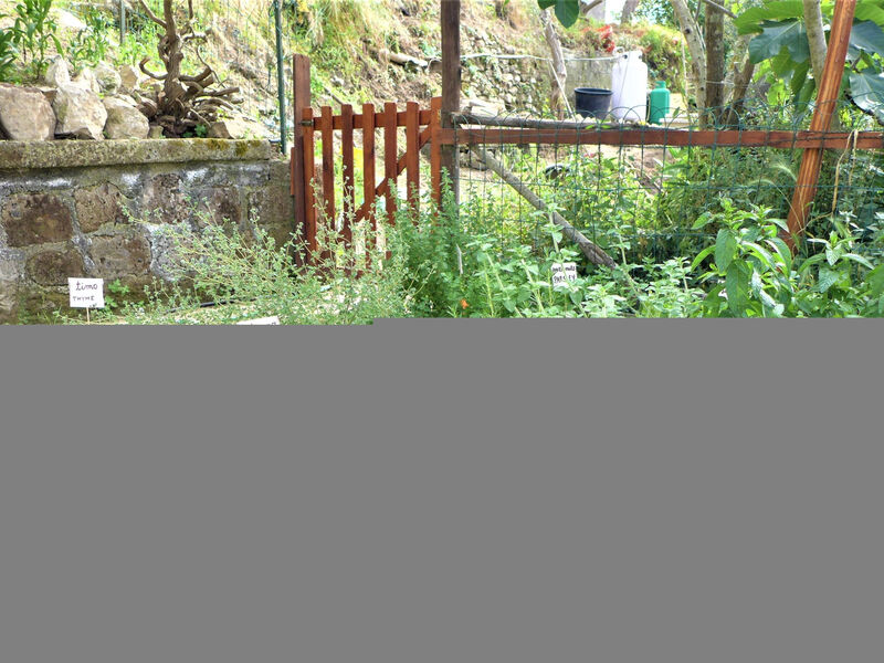 Nataly Country House